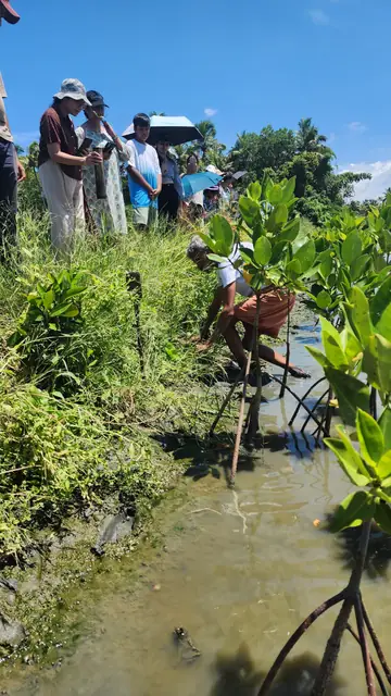 Participants walking along a mangrove-lined shore