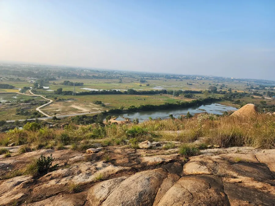 Landscape suited to nature-based solutions