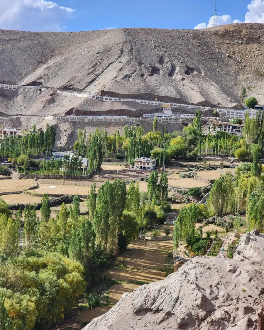 Forested mountains and valley landscape