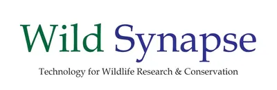 Wild Synapse