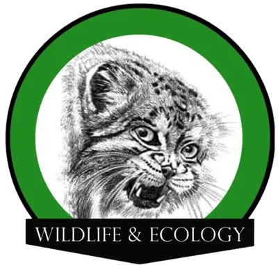 WNE collaborator logo